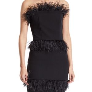 Elliatt Coco Strapless Feather Trimmed Dress